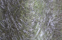 Aldershot fibreglass roof work